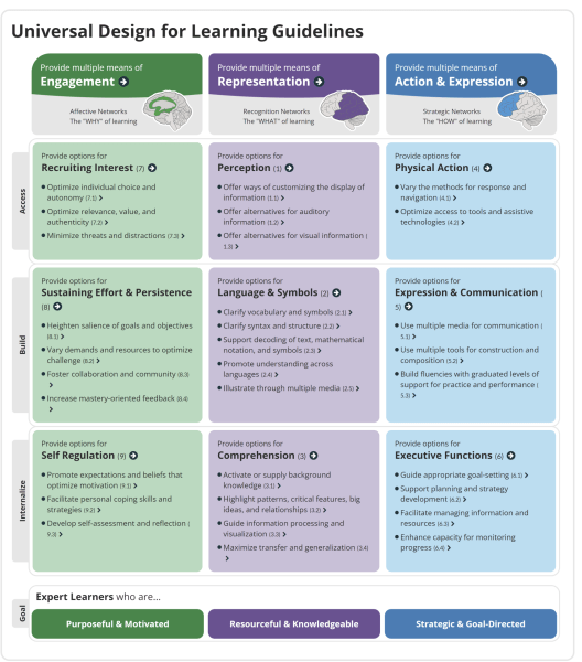 Chart with UDL Guidelines