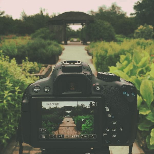 Photo of a DSLR camera being held, with the camera’s screen displaying a live view of a garden pathway. The pathway, surrounded by lush greenery, leads to an arched wooden structure. Various camera settings including ISO, aperture, and shutter speed are visible on the camera’s screen. The focus of the camera is on the pathway and the surrounding plants, making them appear clear while the rest of the image has a softer focus.